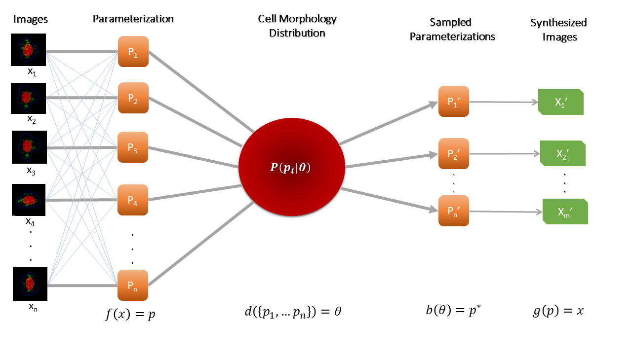 ../_images/cellorganizer-overview-diagram2.png